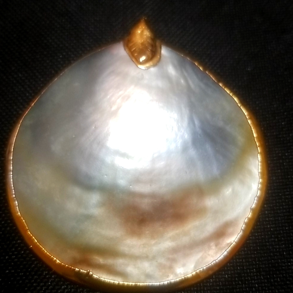 Shell pendant